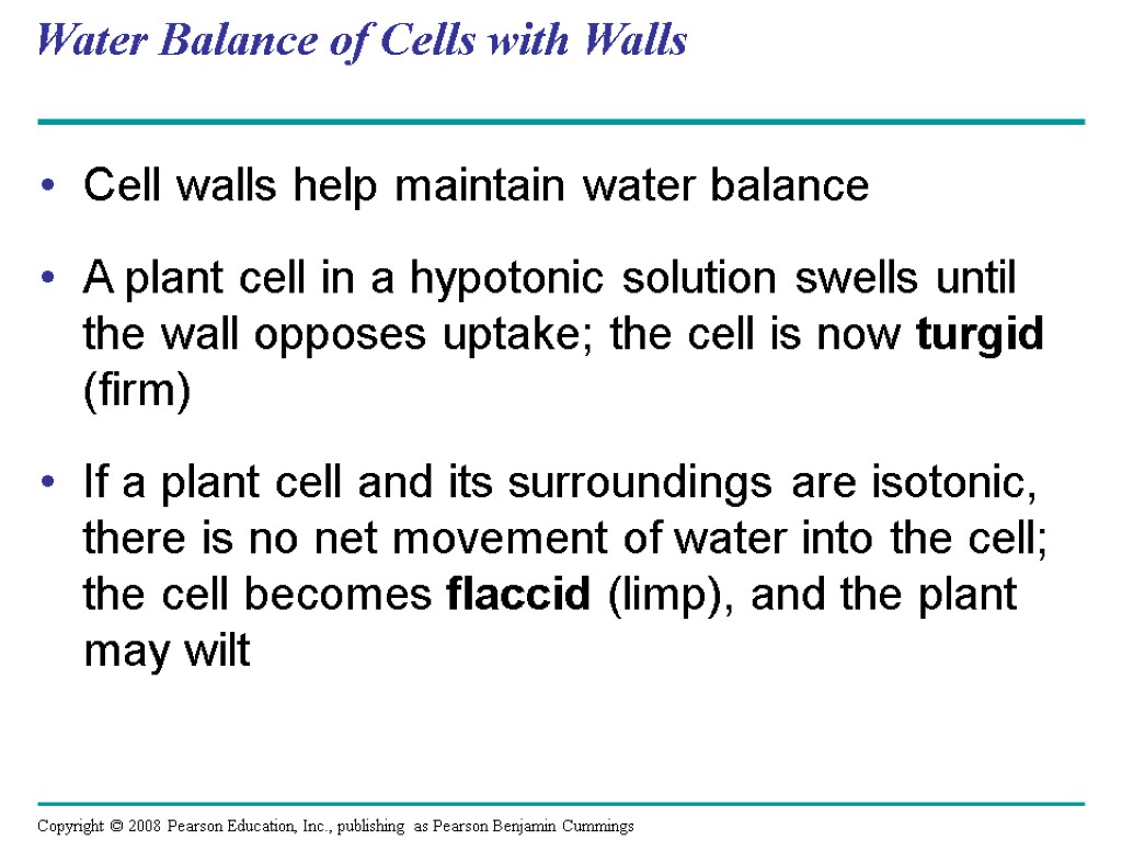 Water Balance of Cells with Walls Cell walls help maintain water balance A plant